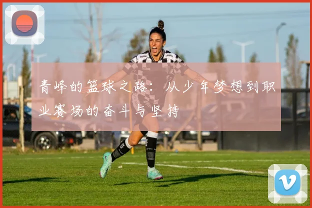 青峰的篮球之路：从少年梦想到职业赛场的奋斗与坚持