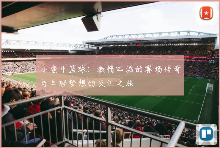 小蛮牛篮球：激情四溢的赛场传奇与年轻梦想的交汇之旅