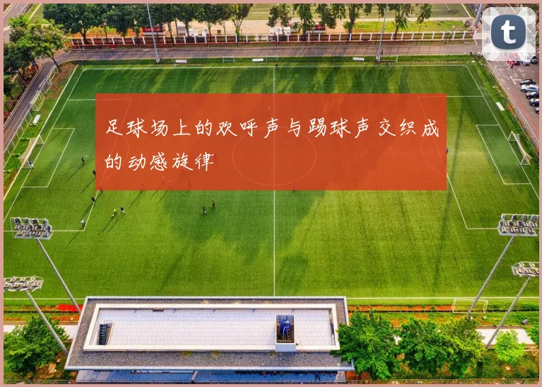足球场上的欢呼声与踢球声交织成的动感旋律