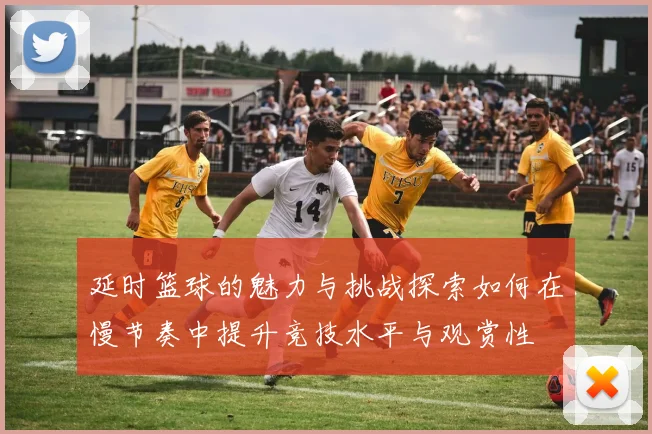 延时篮球的魅力与挑战探索如何在慢节奏中提升竞技水平与观赏性