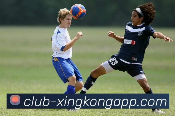 App Interface Preview